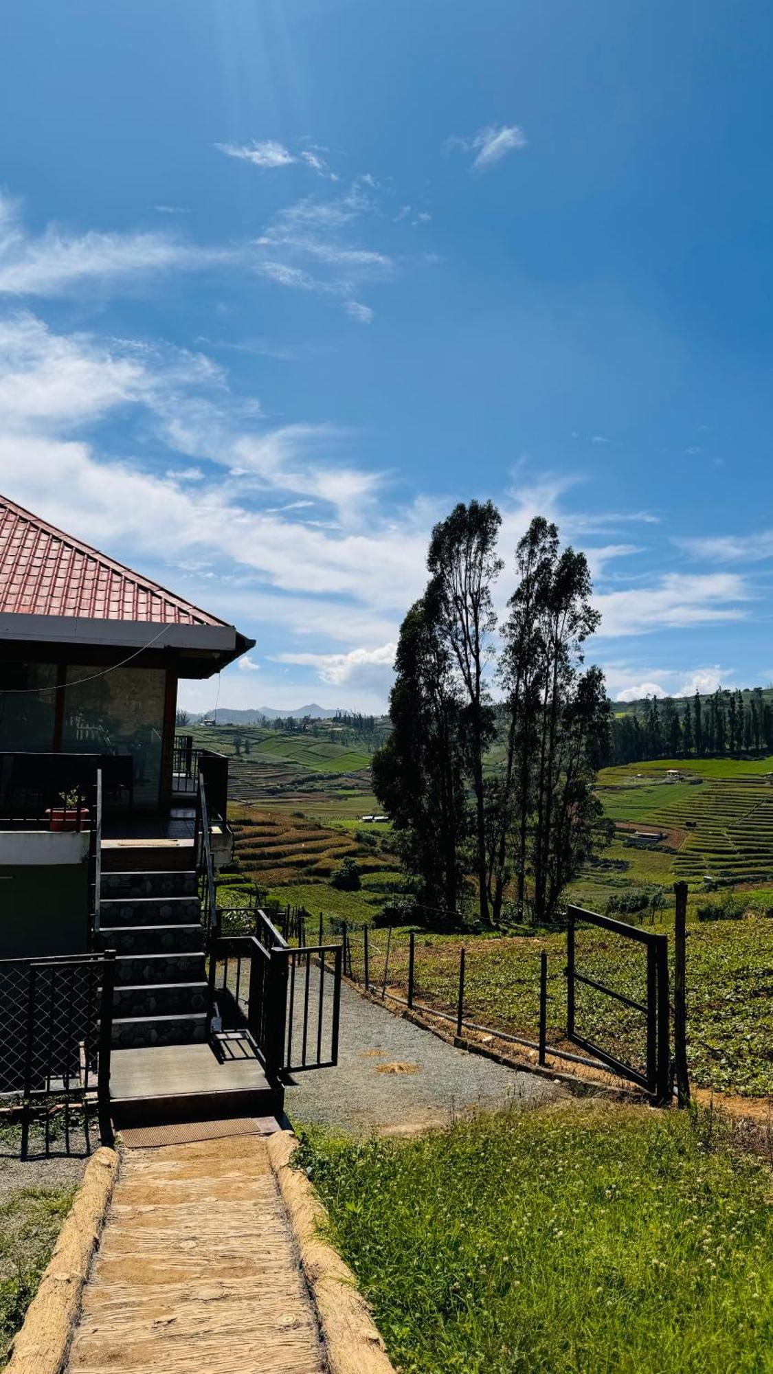 The Wooden Springs Bed & Breakfast Ooty Dış mekan fotoğraf