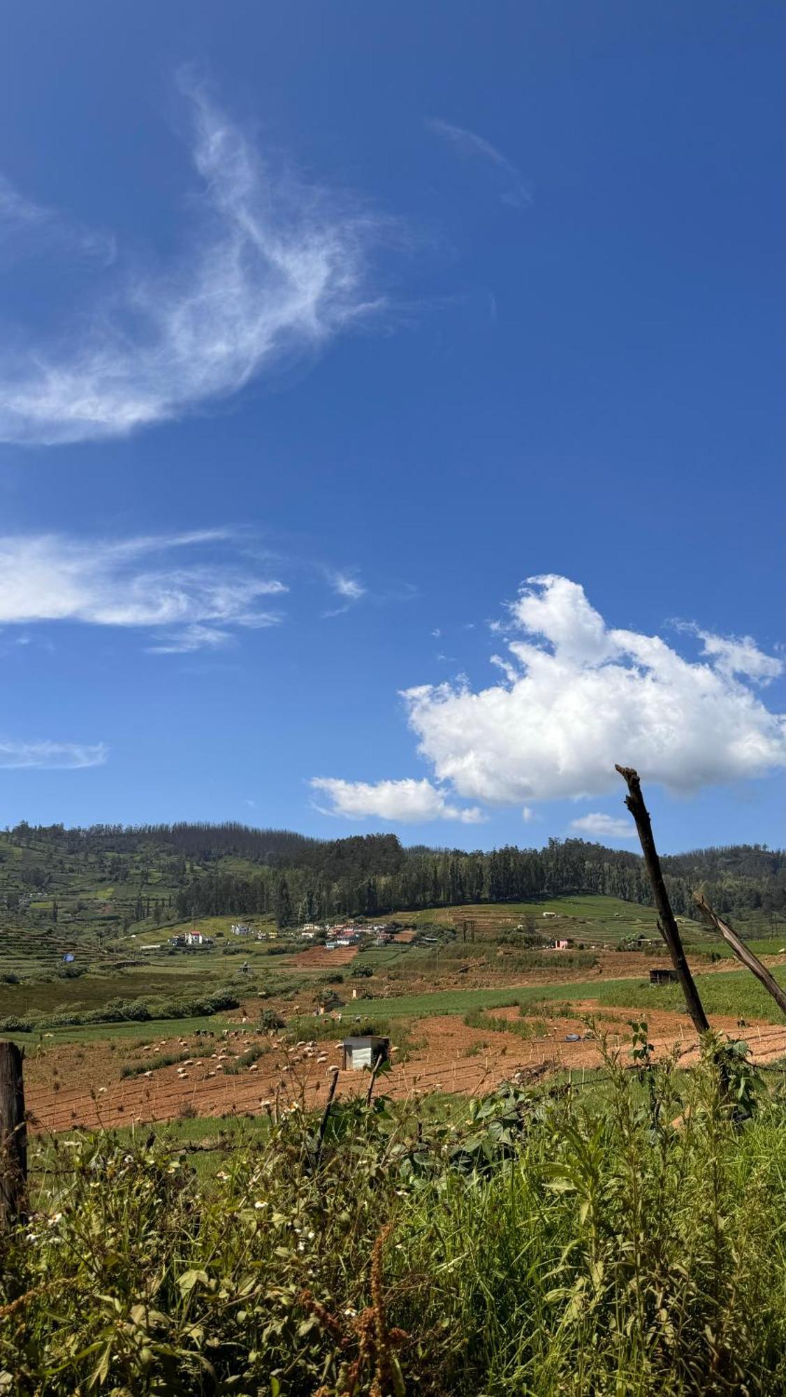 The Wooden Springs Bed & Breakfast Ooty Dış mekan fotoğraf